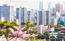 東京の街並みと桜